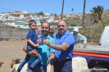 Muestra de ganado de las fiestas del patrono de Telde (Foto  Francisco Javier Santana)